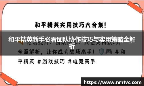 和平精英新手必看团队协作技巧与实用策略全解析